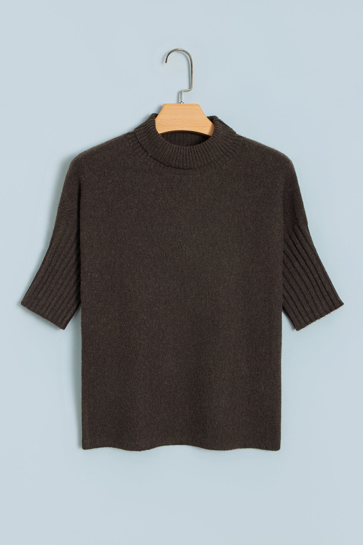 Dark Brown Ribbed Trim High Neck Short Sleeve Casual Sweater