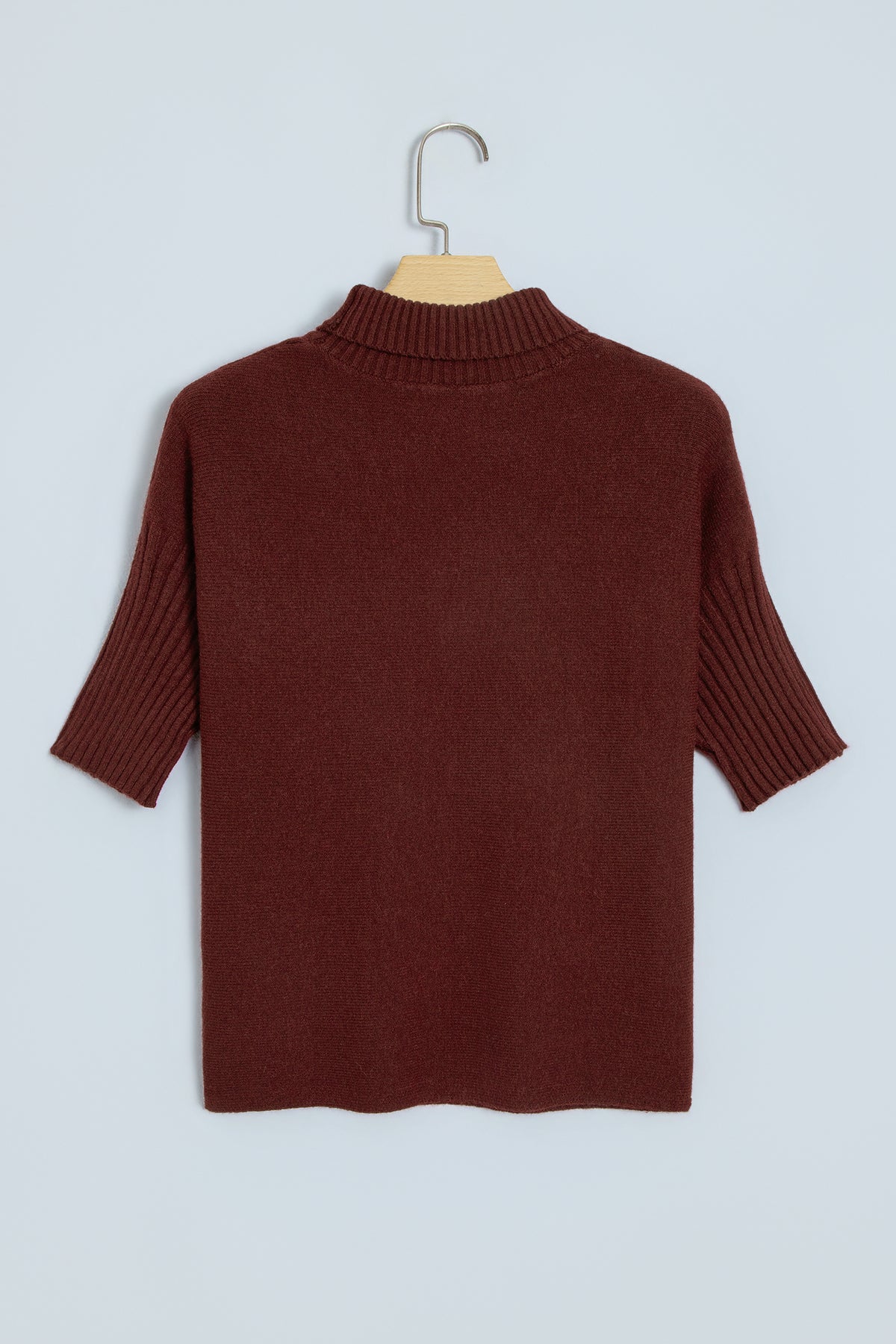 Dark Brown Ribbed Trim High Neck Short Sleeve Casual Sweater