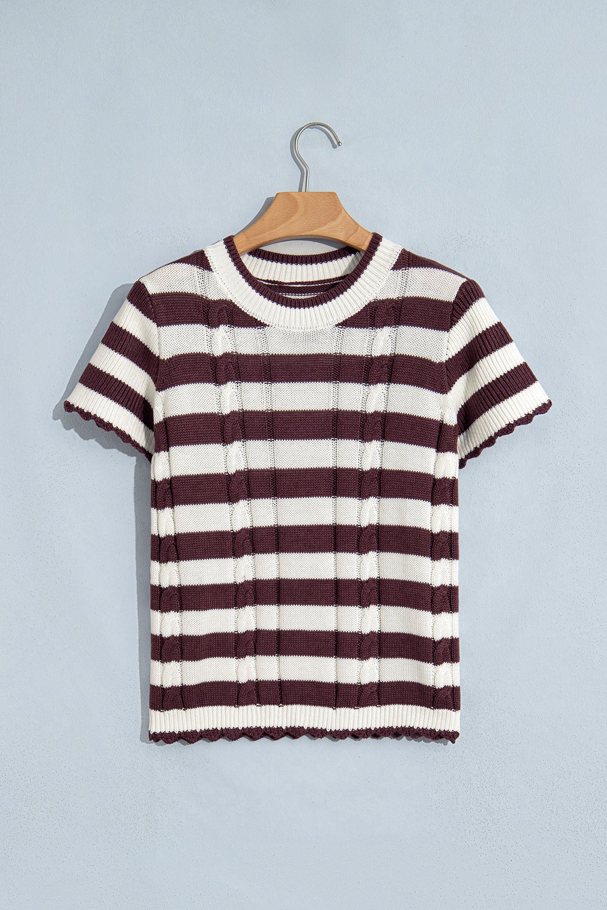 Brown Stripe Ribbed Knit Cable Detail Short Sleeve Sweater